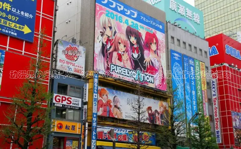 picacg官网